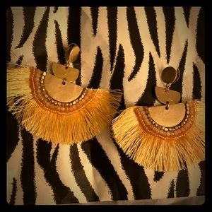 Beautiful Earrings